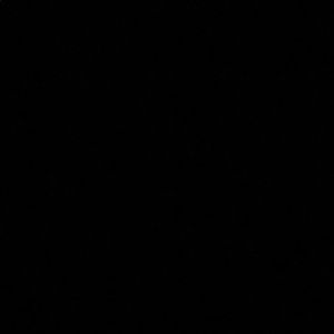 Meet your Posher, Taylin